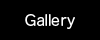 gallery button